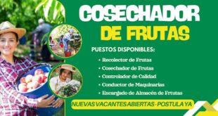 COSECHADORES DE FRUTAS