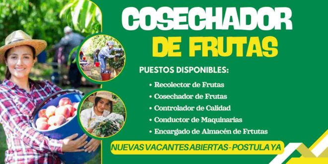 COSECHADORES DE FRUTAS